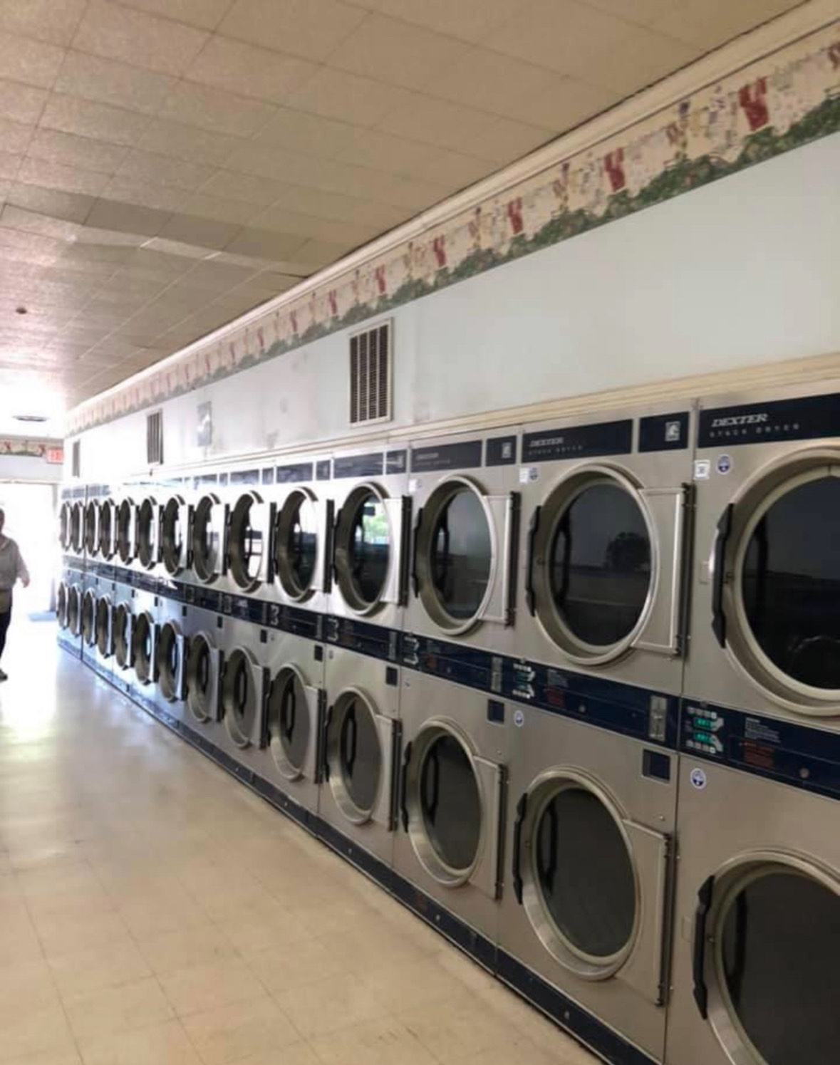 Clean, spacious interior with rows of washing machines